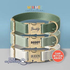 Custom Pet Collar, Forest+Green+Mint, Dog Collar Leash Set With Bow, Personalized Engraved Collar, Wedding Puppy Gift, (DC-38)