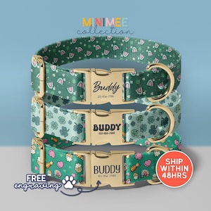 three colorful dog collars with unique patterns, each with a personalized name tag. The collars are displayed against a light blue background, and there is a shipping offer for the collars.