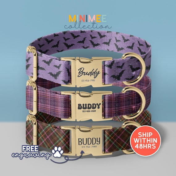 Custom Ghost Dog Collar, Dog Collar For Halloween, Spooky Dog Collar, Hocus Pocus Dog Collar With Leash, Ghost Dog Accessories, (DC-169)