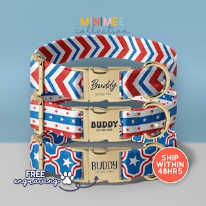 USA Flag Dog Collar, American Dog Collar With Leash, Unique Dog Collar Gift For Dog Parent, 4th Of July Dog Collar, (DC-164)