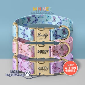 Butterfly Dog Collar, Engraved Dog Collars, Fashion Dog Collar, Collar for Small to Large Dogs, Gift for Dogs, (DC-131)