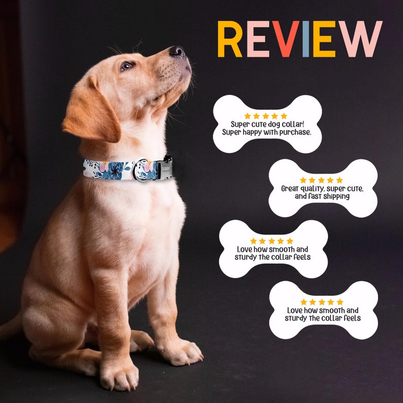 A cute golden retriever puppy wearing a blue and white dog collar, sitting on the floor with its head up, and the word "REVIEW" displayed above it.