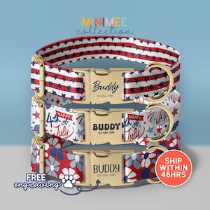 Personalized Stars And Strips Dog Collar With Leash, American Flag Dog Collar, July 4th Dog Collar, Engraved Dog Collar, (DC-163)