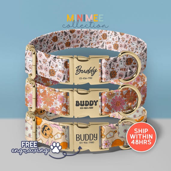Floral Halloween Dog Collar, Girl Dog Halloween Costume, Pumpkin Spice Dog Collar, Halloween Vibes Collar, Seasonal Dog Collar, (DC-174)