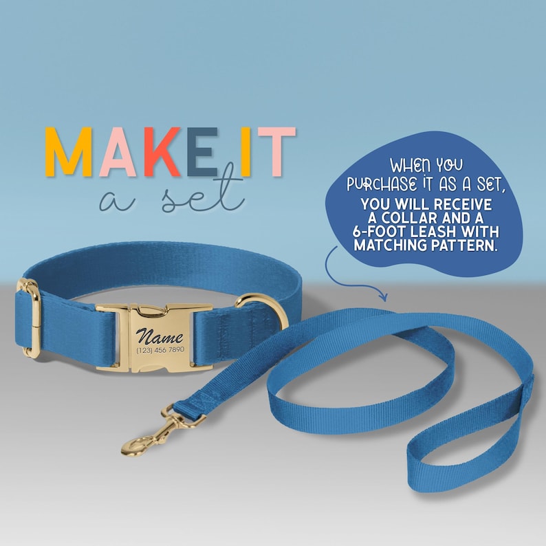 a blue collar and leash for a dog, with a personalized name tag attached to it.