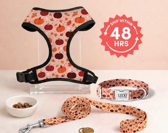 Autumn Pumpkin Dog Harness Set | Fall Themed Pet Collar with Engraved Name Small Dogs | Small Medium Dog Accessories (DC-181_4)