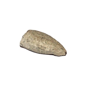 Puede incluir: Una pequeña piedra oblonga de color claro con una superficie rugosa y texturizada. La piedra tiene una base redondeada y termina en punta. El color es una mezcla de beige, gris y marrón.