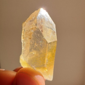Himalayan Iridescent Golden Healer Quartz Crystal w\ Barnacle Crystals_22gr