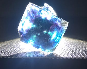 バタフライポケット オコルス フローライト w\ ブラック\パープル