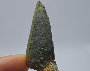 Ganesh Himal Tessin Gewoonte Kwartskristal met Groen Chloriet \ Himalaya Tessin Gewoonte Kwartskristal_10gr