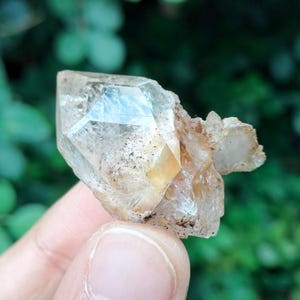 以下が含まれることがあります： ファセット加工された尖った先端と粗い質感の基部を持つ透明な水晶。クリスタルは、いくつかの暗いインクルージョンを持つ明るい茶色の色合いをしています。背景はぼやけた緑の葉です。