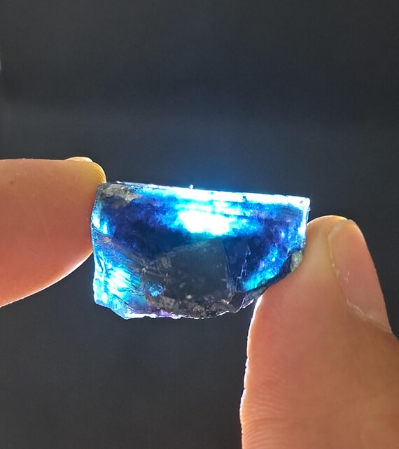 バタフライポケット オコルス フローライト w\ ブラック\パープル