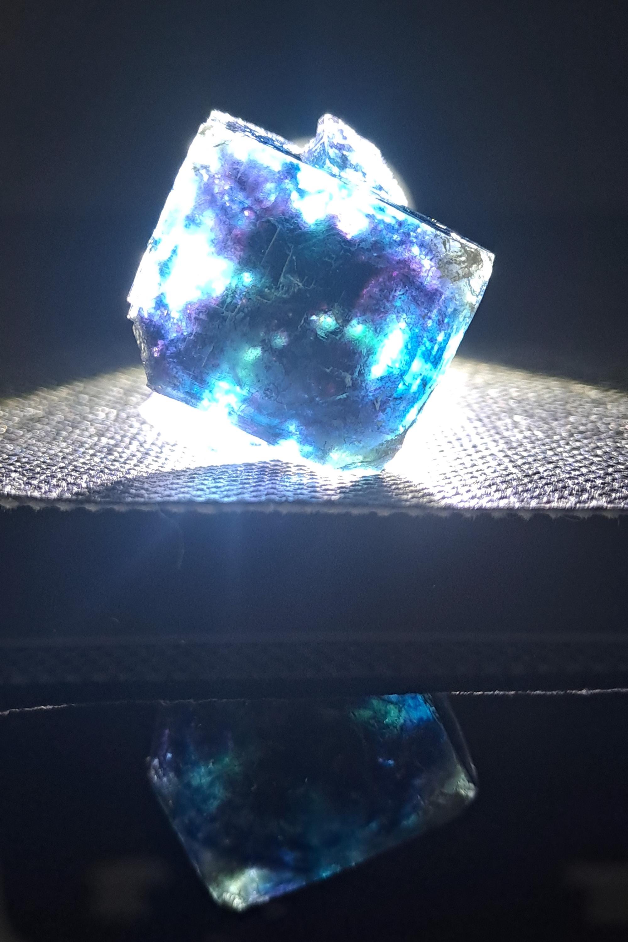 バタフライポケット オコルス フローライト w\ ブラック\パープル