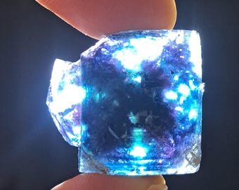 バタフライポケット オコルス フローライト w\ ブラック\パープル