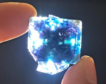 バタフライポケット オコルス フローライト w\ ブラック\パープル