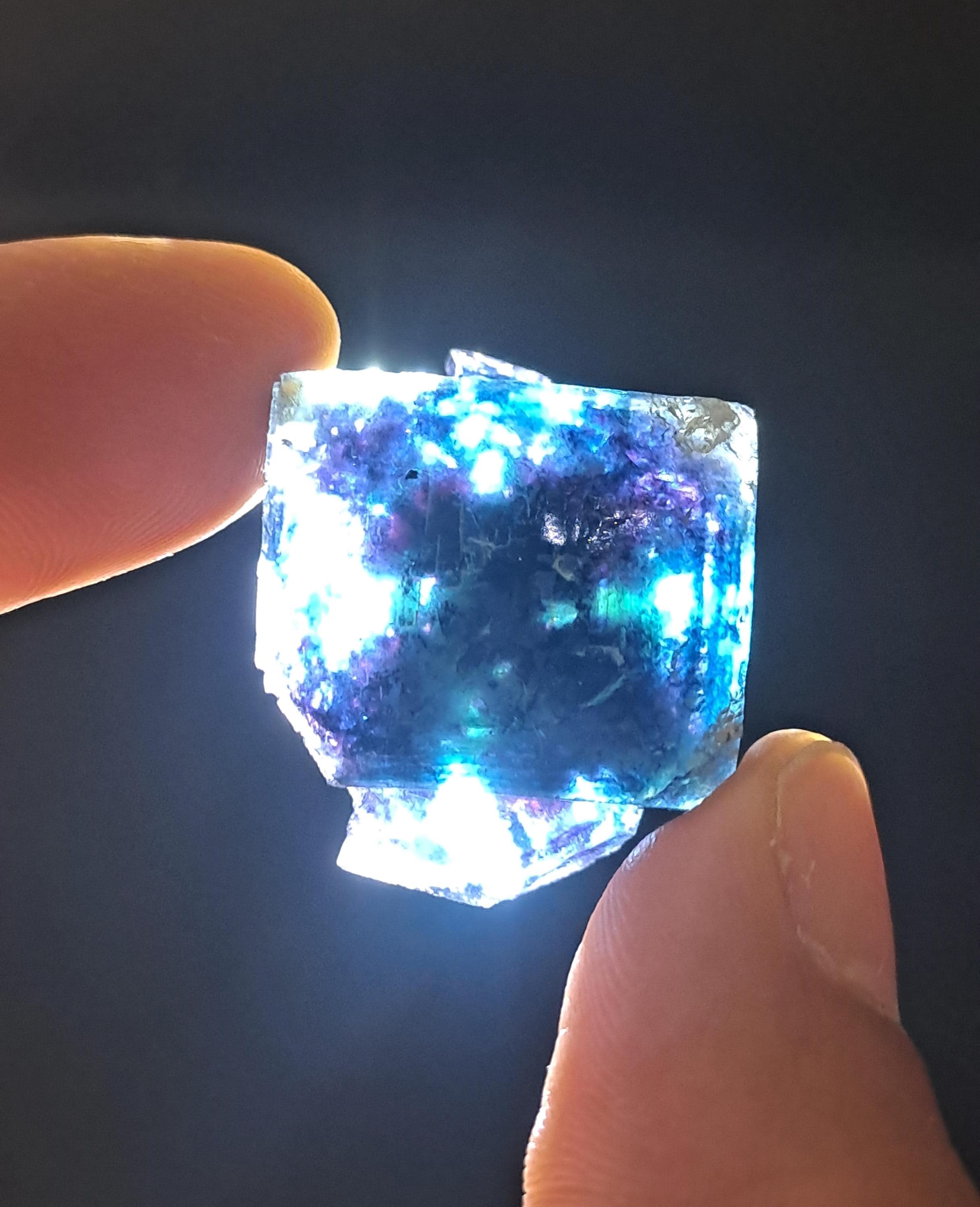 バタフライポケット オコルス フローライト w\ ブラック\パープル