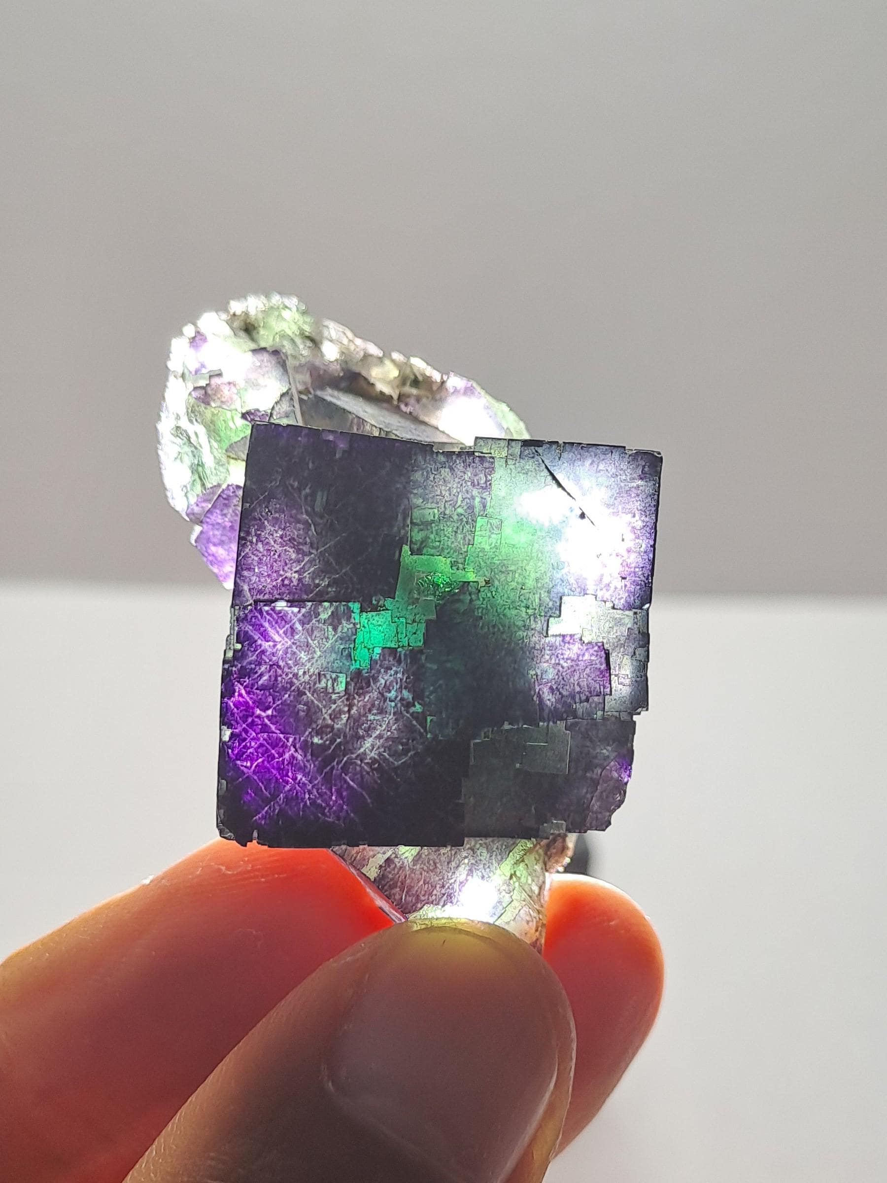 Brandberg fluorite - Etsy 日本