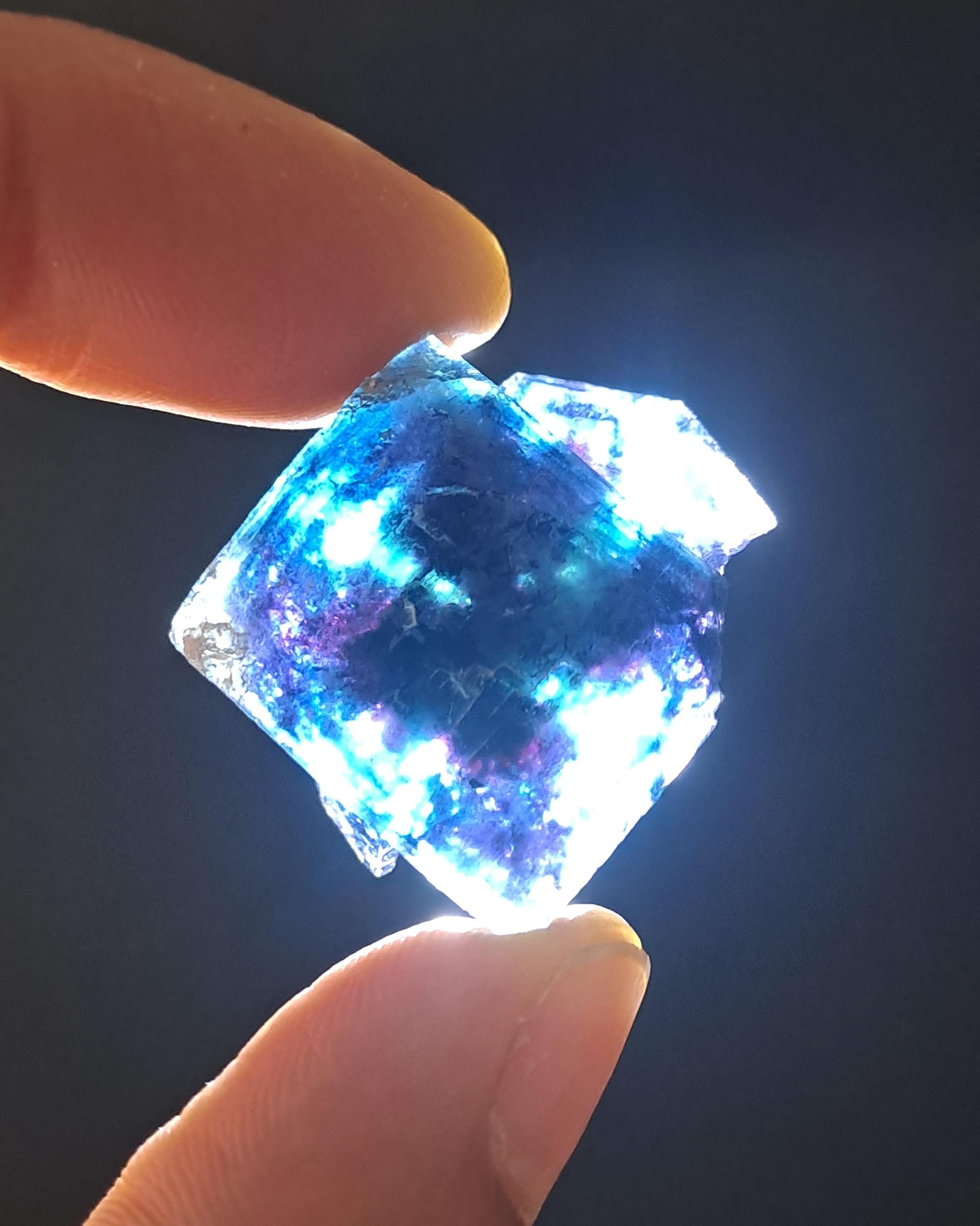バタフライポケット オコルス フローライト w\ ブラック\パープル