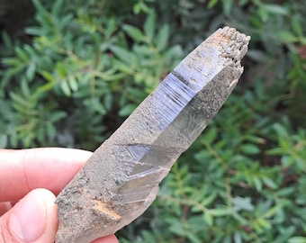 Ganesh Himal Quartz Crystal w\ Green Chlorite \ Himalayan Quartz Crystal_59gr