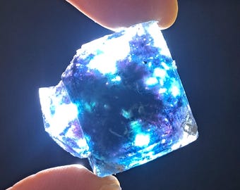 バタフライポケット オコルス フローライト w\ ブラック\パープル