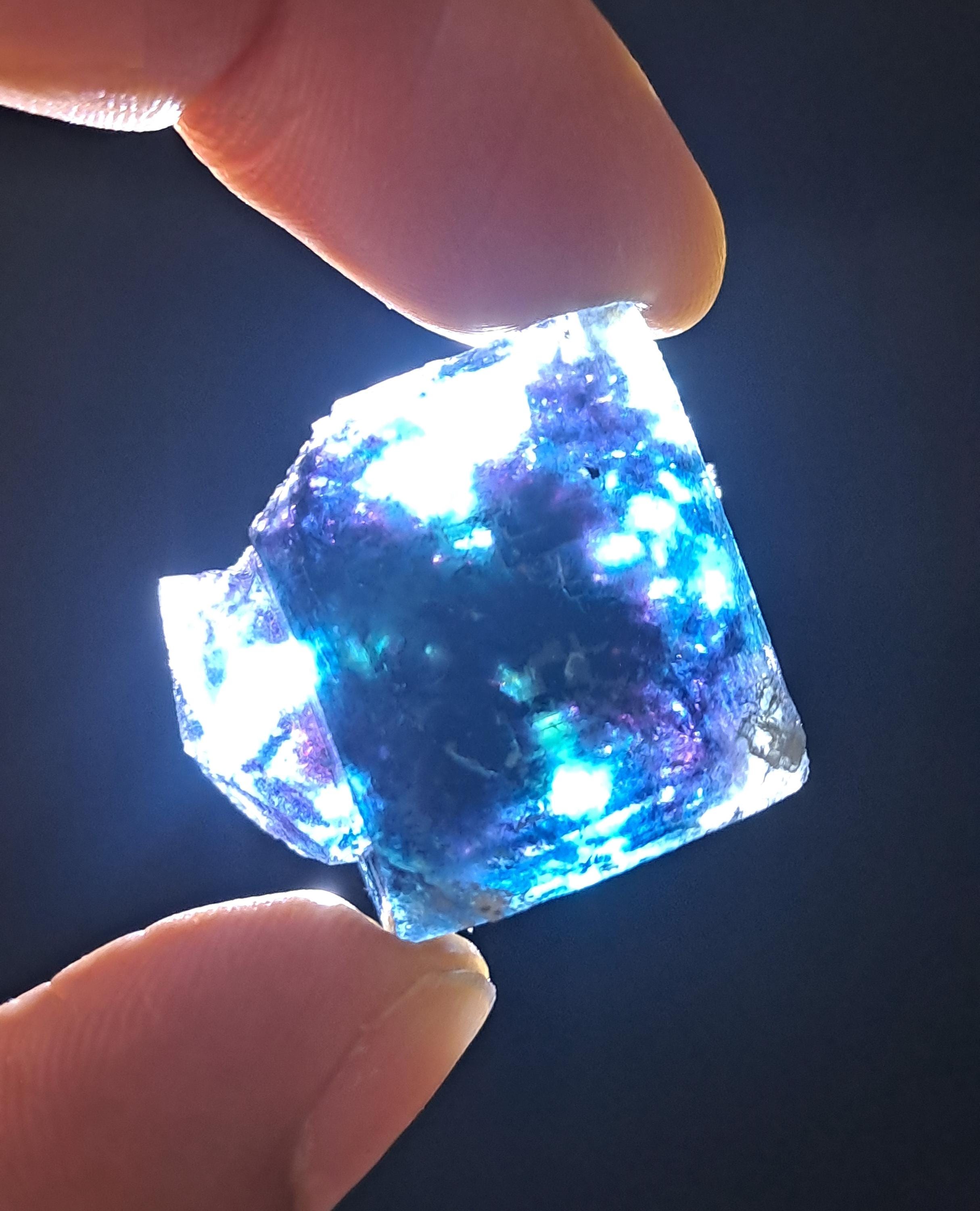 バタフライポケット オコルス フローライト w\ ブラック\パープル