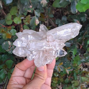 Ganesh Himal Quartz Cluster \ Himalayan Quartz Crystal_427gr