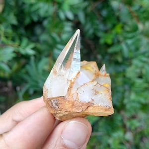Ganesh Himal Golden Healer Tessin Habit Quartz on Quartz Matrix \ Himalayan Laser Golden Healer_44gr
