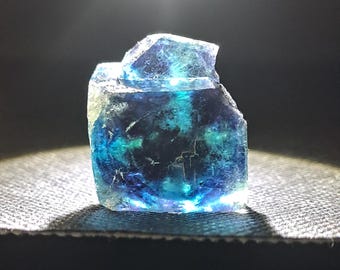 バタフライポケット オコルス フローライト w\ ブラック\パープル
