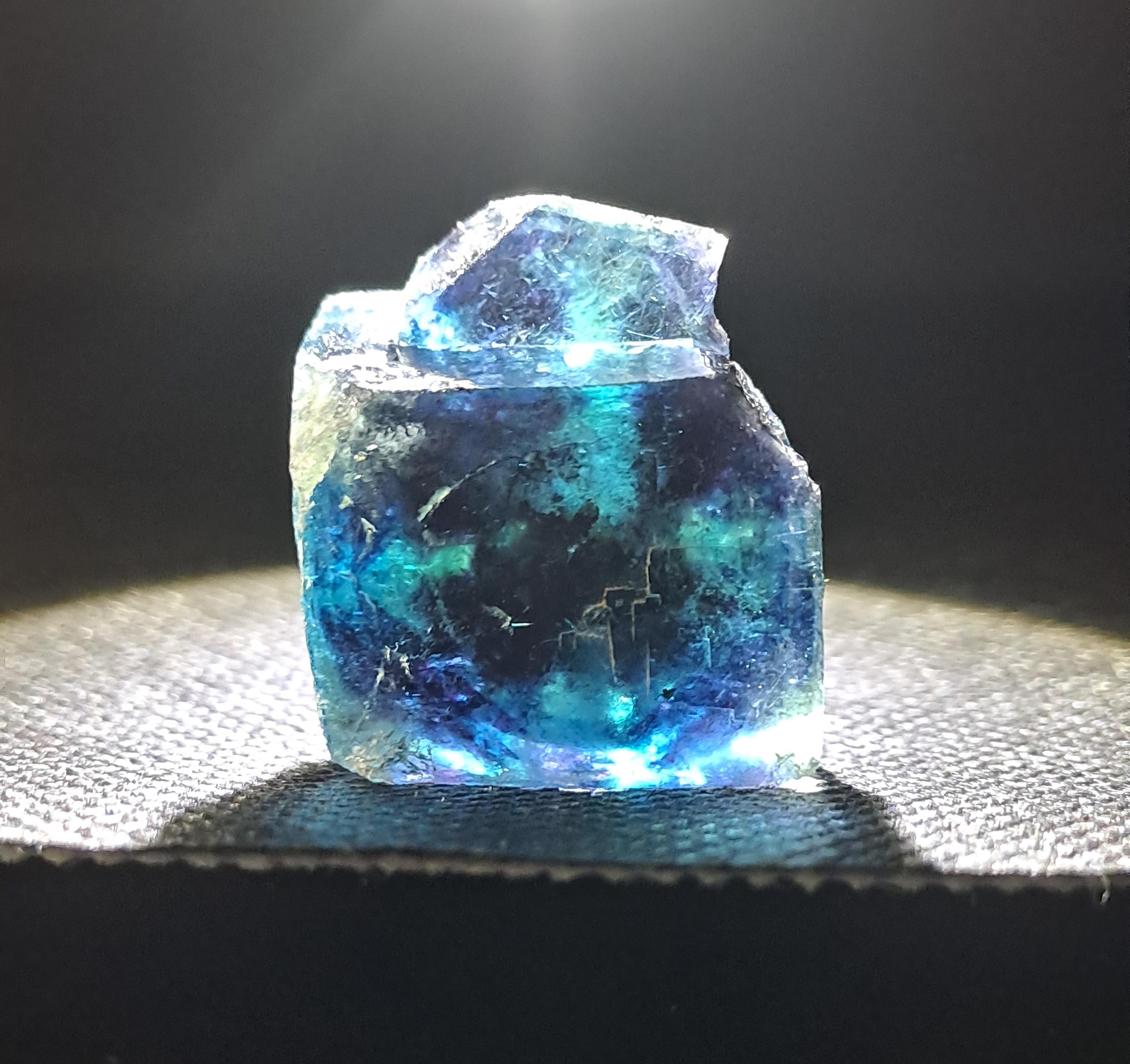 バタフライポケット オコルス フローライト w\ ブラック\パープル