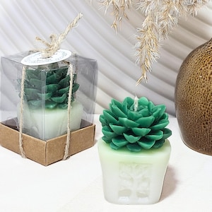 Op de afbeelding: Twee groene succulenten-vormige kaarsen in witte potten. Eén kaars zit in een doorzichtige doos met een bruine papieren basis. De andere kaars staat op een wit oppervlak.