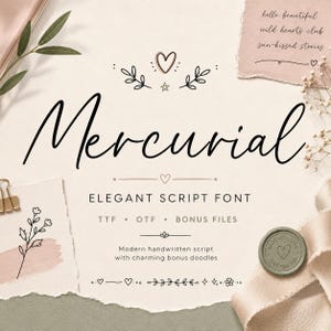 May include: A digital font display featuring the word Mercurial in a black script typeface. The design includes the text ELEGANT SCRIPT FONT, TTF, OTF, BONUS FILES, and Modern handwritten script with charming bonus doodles, alongside botanical line art.