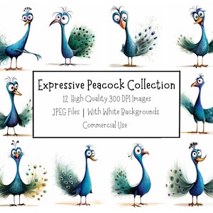 Paquete divertido de imágenes prediseñadas de pavo real / Colección de 12 ilustraciones de aves expresivas / Archivos JPEG de alta calidad / Uso comercial / Artesanía de papel