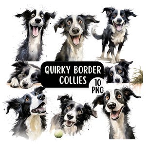 Cute & Quirky Border Collie Dog PNG Clipart Bundle | Commercial Use | Funny Pet Clipart | Watercolour Border Collie Printable Clipart