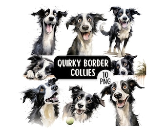 Cute & Quirky Border Collie Dog PNG Clipart Bundle | Commercial Use | Funny Pet Clipart | Watercolour Border Collie Printable Clipart