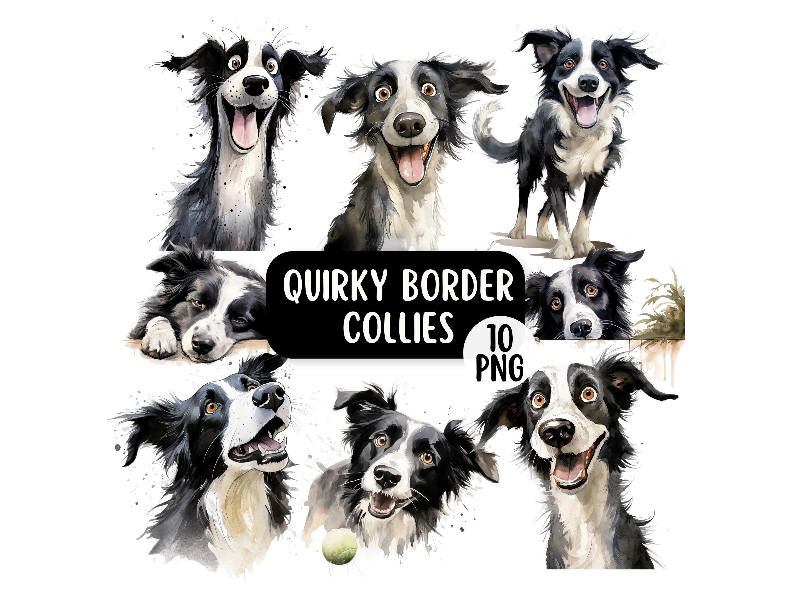 Border Collie Card