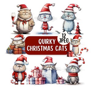 Quirky Christmas Cat Clipart Bundle | 12 PNG Cute & Funny Cats | Transparent Backgrounds | Commercial Use | Festive Graphics | Card Making