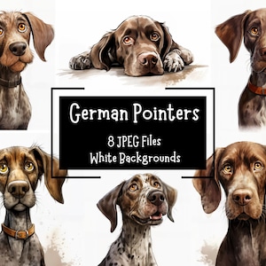 German Pointer Dog Clipart Bundle 8 JPEG Designs | Commercial Use | Digital Download | Junk Journal | Dog Portrait | Dog Breed Clipart