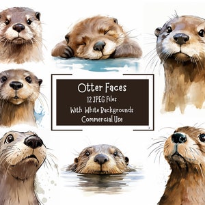 Süße & lustige Otter Gesichter Clipart | 12 hochwertige 300DPI JPEG-Bilder | Kommerzielle Nutzung | Digitaler Download | Junk Journal