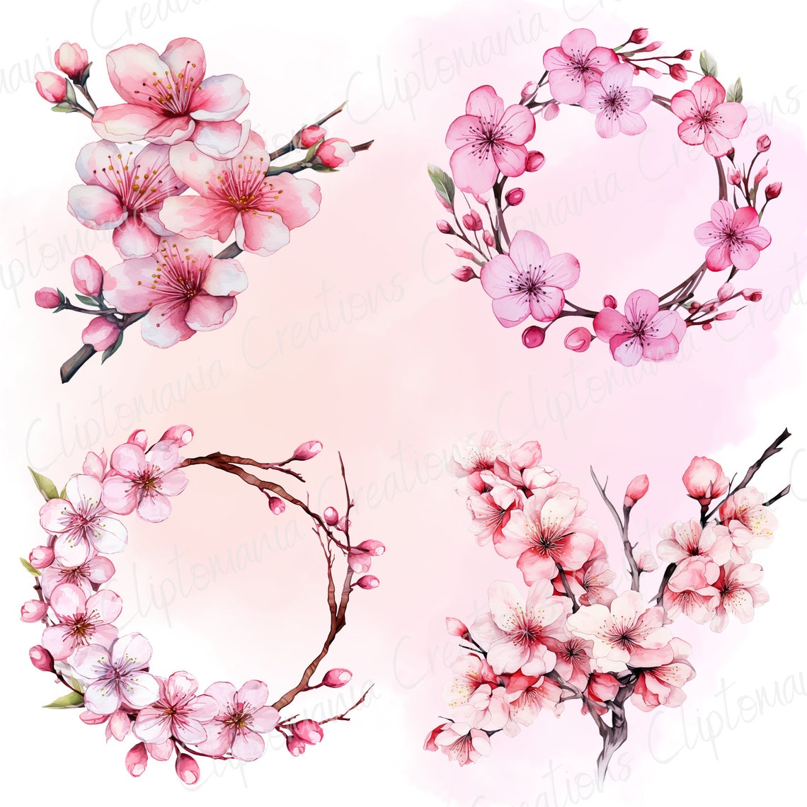 Japanese Sakura Cherry Blossom Clipart Bundle 18 PNG | Transparent ...