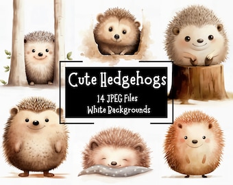 Cute Watercolour Hedgehog Clipart Bundle 14 JPEG Files | Printable Cartoon Hedgehogs | Commercial Use | Digital Crafting | Junk Journal