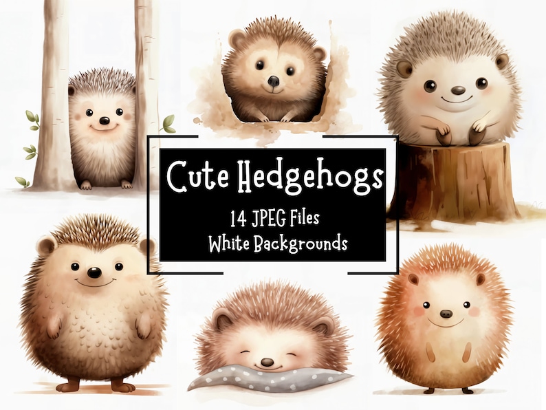 May include: A set of 14 digital illustrations of cute hedgehogs in various poses. The hedgehogs are drawn in a watercolor style with brown and white fur. The illustrations have white backgrounds. "Cute Hedgehogs" and "14 JPEG Files White Backgrounds" are written in black text on a white rectangle.