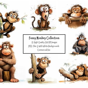 Cute And Funny Monkey Clipart Bundle | 13 High Quality JPEG Illustrations With White Backgrounds | Commercial Use | Animal Clipart