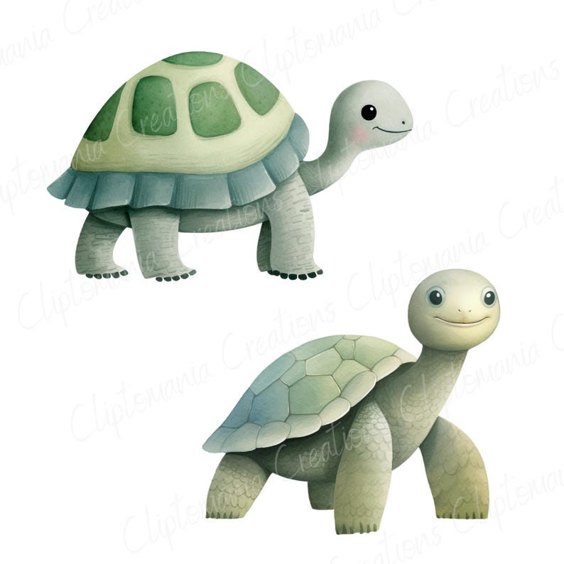 Cute Watercolour Turtle PNG Clipart Bundle, Cute Ocean Animals for Baby Shower, Nursery Prints & Digital Crafts, Cute Tortoise PNG image 7