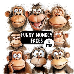 Paquete de imágenes prediseñadas PNG de caras de monos lindas y divertidas, fondos transparentes, imágenes prediseñadas de animales de la selva divertidos, gráficos de monos con acuarela peculiares