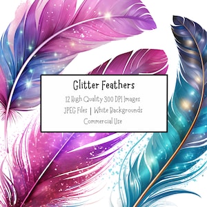 Glitzer Feder Clipart | Blaue, Lila & Rosa Federn | 12 hochwertige JPEG | Digitaler Download | Kartengestaltung | Digitales Papiermodell