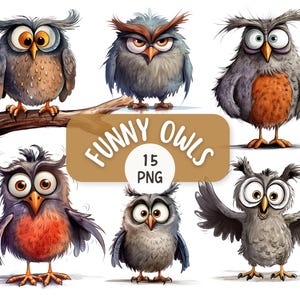 Funny Owl 15 PNG Clipart Bundle | Transparent Backgrounds | Quirky Owls | Digital Download | Expressive Owls | Printable Funny Bird Graphics