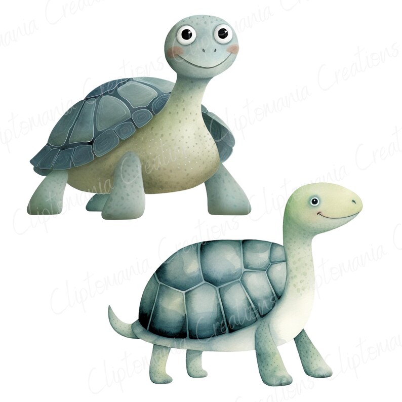 Cute Watercolour Turtle PNG Clipart Bundle, Cute Ocean Animals for Baby Shower, Nursery Prints & Digital Crafts, Cute Tortoise PNG image 8