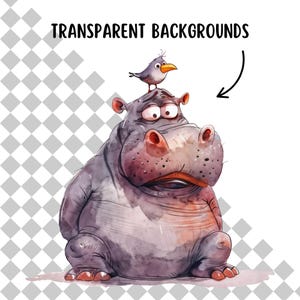 Cute & Funny Unhappy Hippo Clipart Bundle, 12 PNG Transparent Backgrounds, Digital Download, Funny Watercolour Animals, Safari Animal PNG image 2