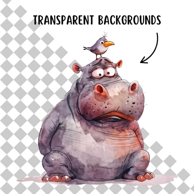 Cute & Funny Unhappy Hippo Clipart Bundle, 12 PNG Transparent Backgrounds, Digital Download, Funny Watercolour Animals, Safari Animal PNG image 2