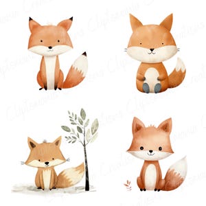 Cute Watercolour Fox Clipart Bundle 12 PNG, Transparent Backgrounds, Commercial Use, Woodland Animal, Children's Clipart, Nursery Decor image 11